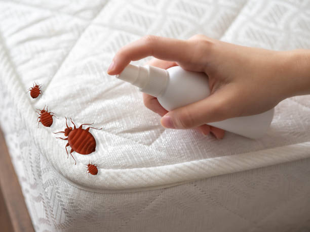 Best Ant Control Services  in Jefferson, OH