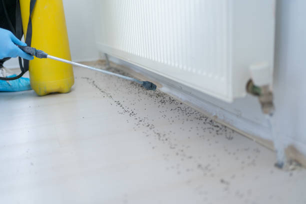 Best Best Pest Control Companies  in Jefferson, OH