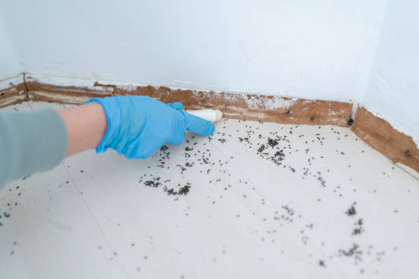Jefferson, OH Pest Control Company