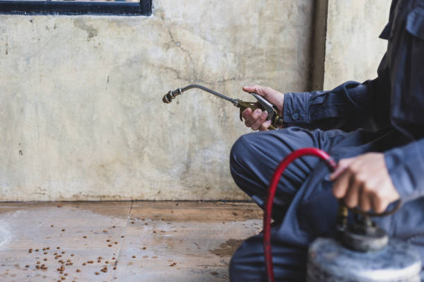 Best Termite Control Services  in Jefferson, OH